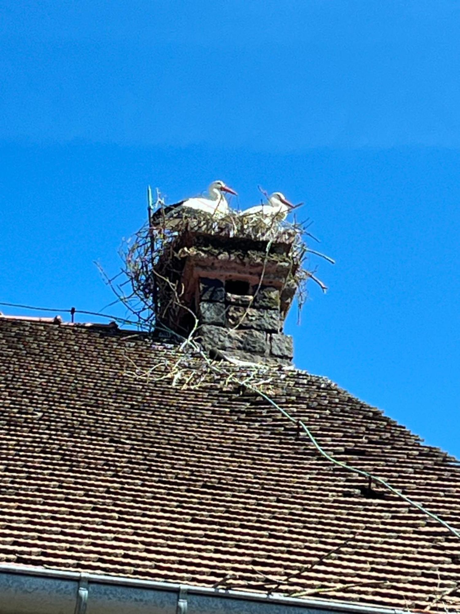 Gîte L'Instant Durable Oberbronn Exterior foto
